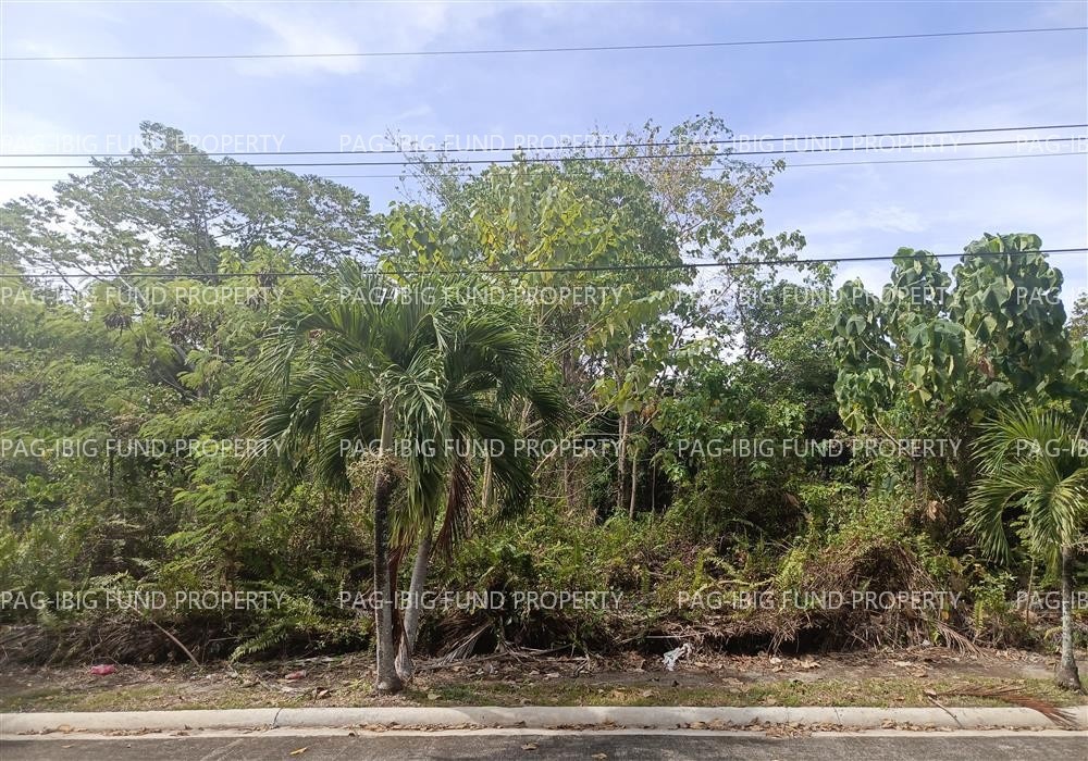 Image for Lot 06 Blk. 02 Phase 02 Villa Mercedes Subdivision Sirawan, Davao City, Davao Del Sur, 8000