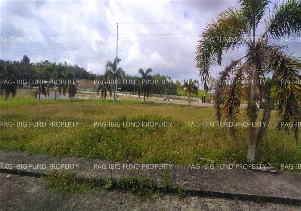 Image for Lot 3 Blk. 4 Island Hills Village Resort - Sto Nino Santo Niño, Island Garden City of Samal, Davao Del Norte, 8119
