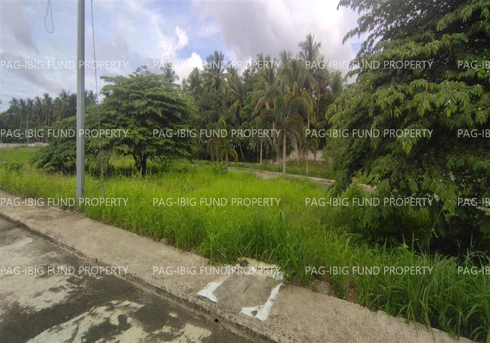 Image for Lot 13 Blk. 11 Island Hills Village Resort - Sto Nino Santo Niño, Island Garden City of Samal, Davao Del Norte, 8119