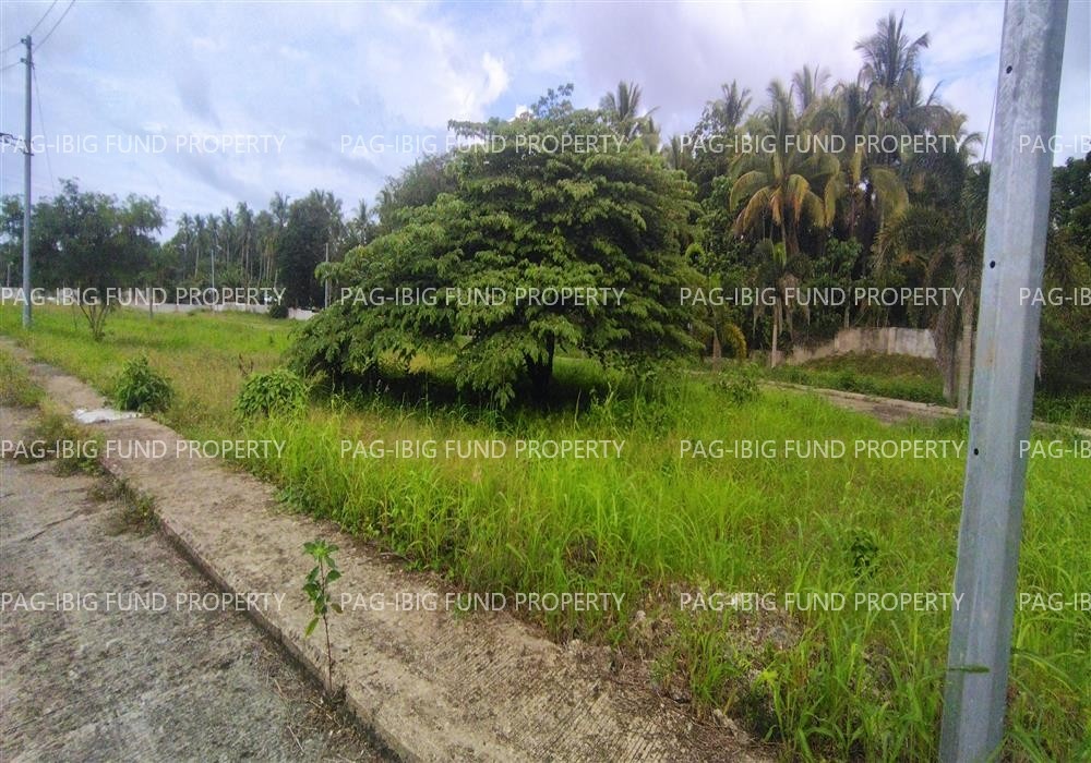Image for Lot 12 Blk. 11 Island Hills Village Resort - Sto Nino Santo Niño, Island Garden City of Samal, Davao Del Norte, 8119