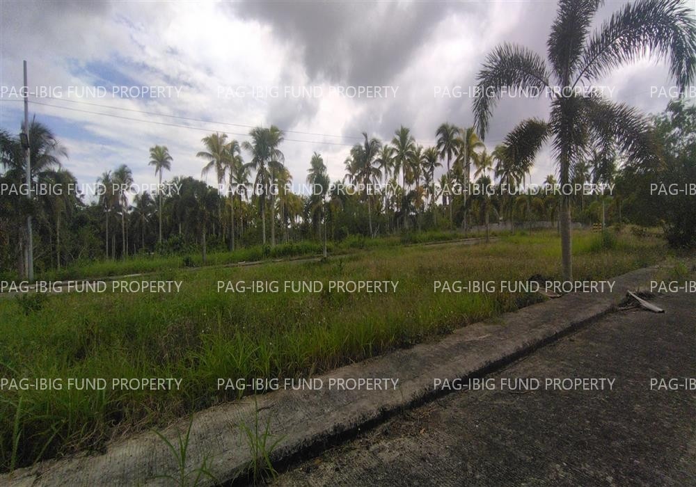 Image for Lot 2 Blk. 25 Island Hills Village Resort - Sto Nino Santo Niño, Island Garden City of Samal, Davao Del Norte, 8119
