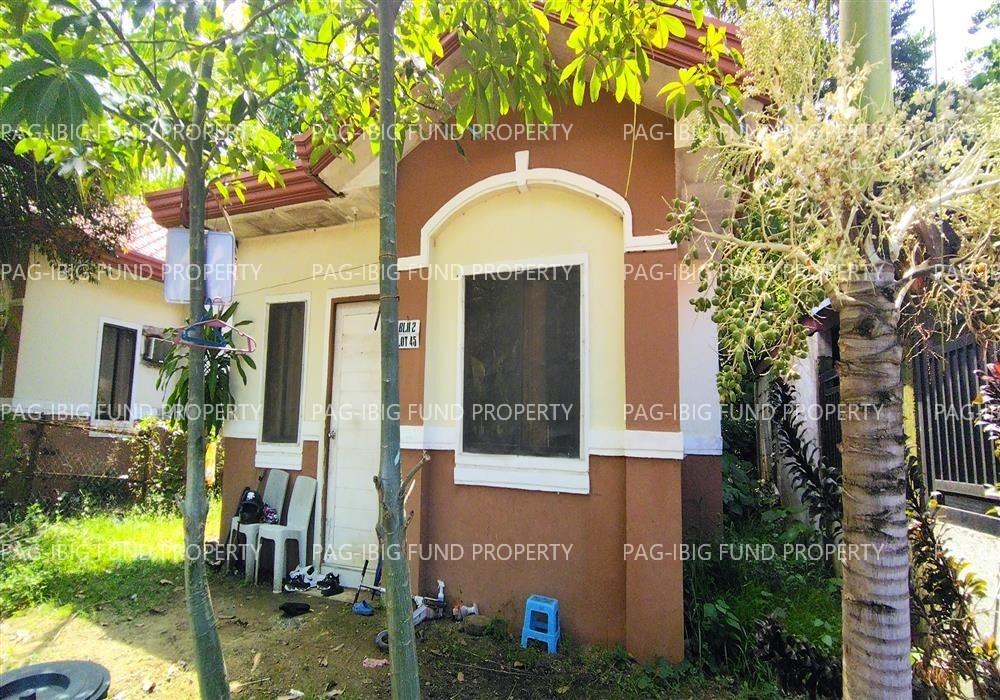 Image for Lot 45 Nakayama Village - Digos City Sinawilan, Digos City, Davao Del Sur, 8002