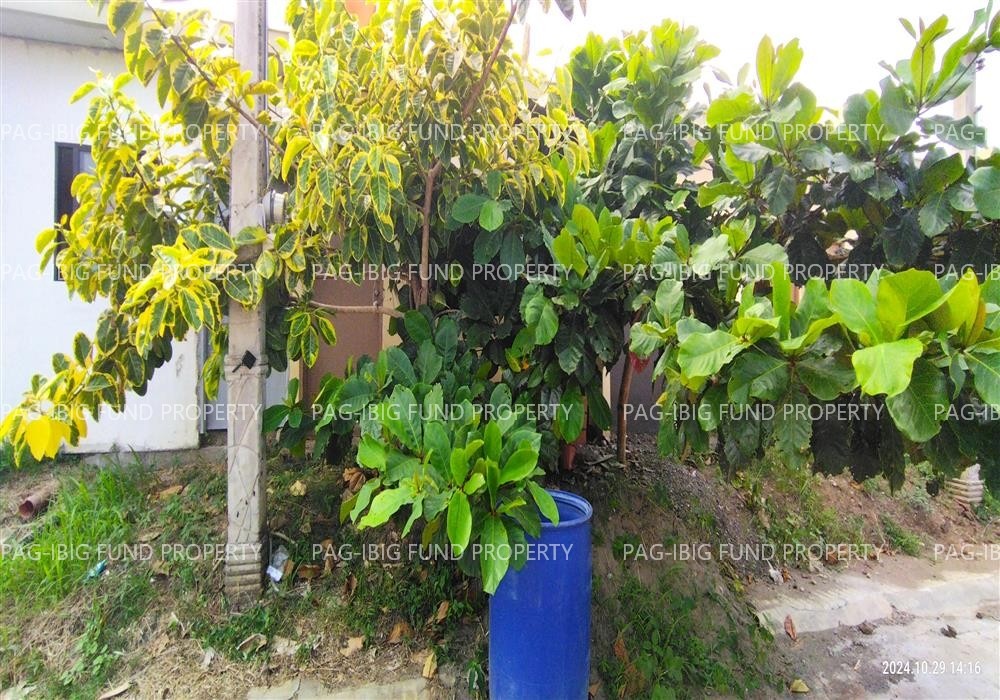 Image for Lot 37 Blk. 8 Bria Homes Digos Matti, Digos City, Davao Del Sur, 8002