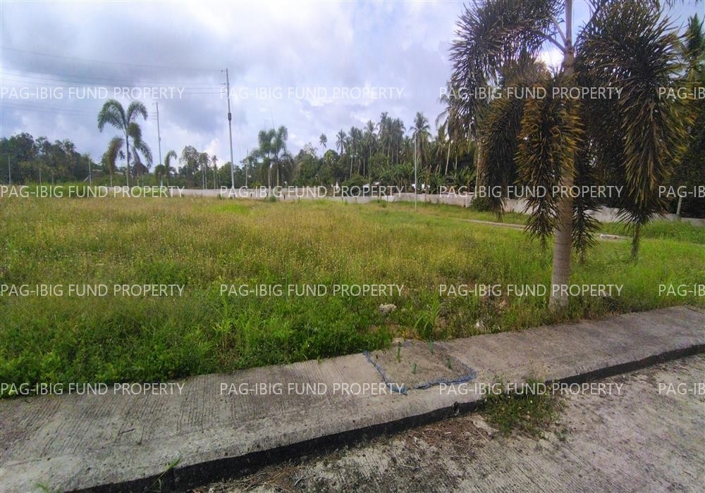 Image for Lot 15 Blk. 9 Island Hills Village Resort - Sto Nino Santo Niño, Island Garden City of Samal, Davao Del Norte, 8119