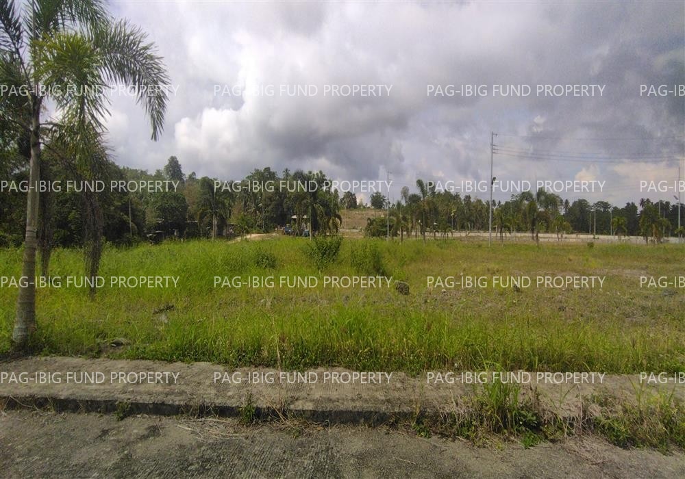 Image for Lot 17 Blk. 7 Island Hills Village Resort - Sto Nino Santo Niño, Island Garden City of Samal, Davao Del Norte, 8119