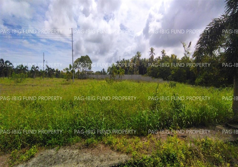 Image for Lot 18 Blk. 7 Island Hills Village Resort - Sto Nino Santo Niño, Island Garden City of Samal, Davao Del Norte, 8119