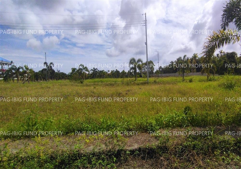 Image for Lot 24 Blk. 29 Island Hills Village Resort - Sto Nino Santo Niño, Island Garden City of Samal, Davao Del Norte, 8119