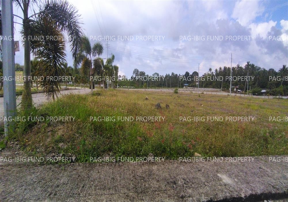 Image for Lot 1 Blk. 9 Island Hills Village Resort - Sto Nino Santo Niño, Island Garden City of Samal, Davao Del Norte, 8119