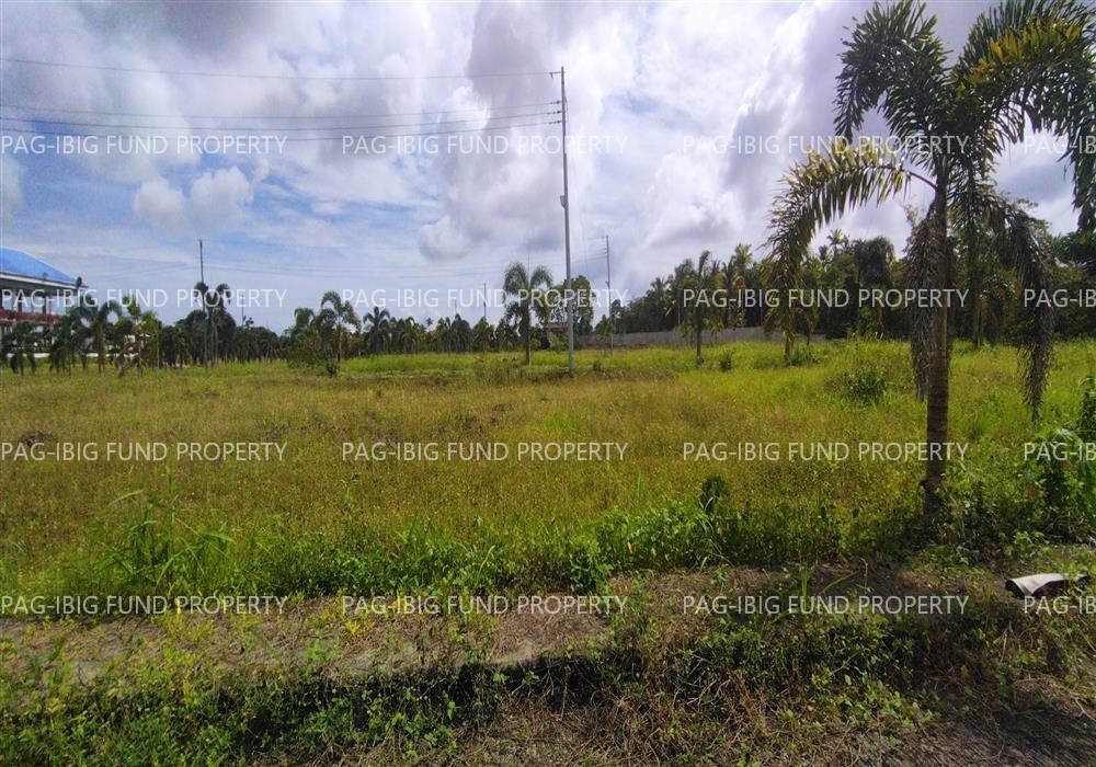 Image for Lot 16 Blk. 5 Island Hills Village Resort - Sto Nino Santo Niño, Island Garden City of Samal, Davao Del Norte, 8119