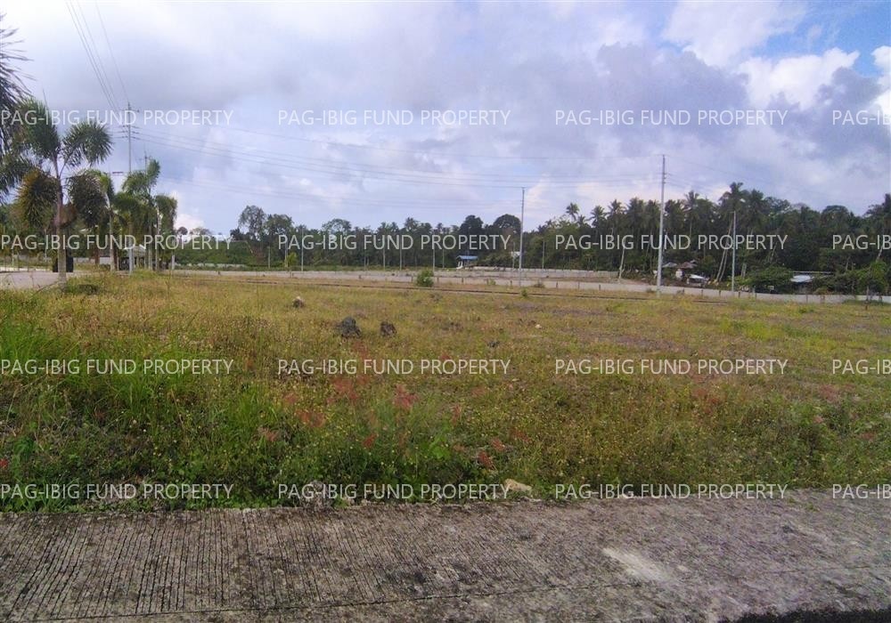 Image for Lot 12 Blk. 14 Island Hills Village Resort - Sto Nino Santo Niño, Island Garden City of Samal, Davao Del Norte, 8119