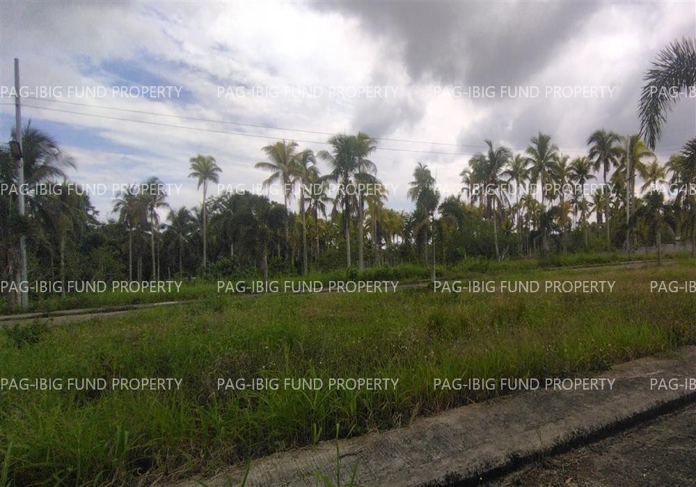 Image for Lot 20 Blk. 28 Island Hills Village Resort - Sto Nino Santo Niño, Island Garden City of Samal, Davao Del Norte, 8119