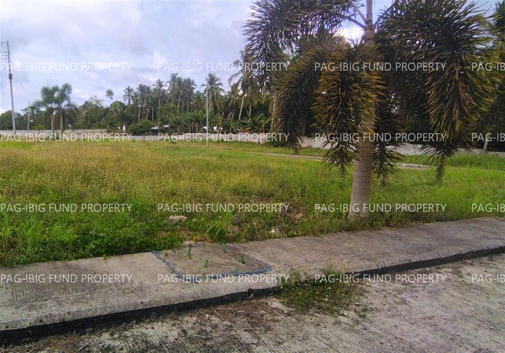 Image for Lot 1 Blk. 36 Island Hills Village Resort - Sto Nino Santo Niño, Island Garden City of Samal, Davao Del Norte, 8119