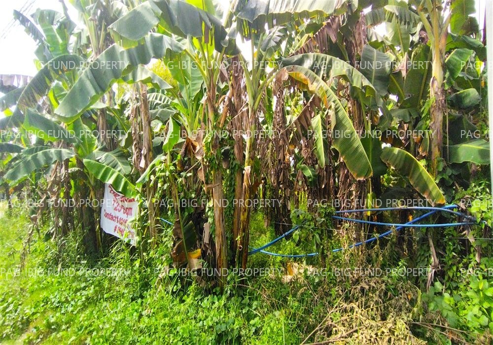 Image for Lot 639B3A8/A7 Kakar Non Subdivision Poblacion VIII, Cotabato City, Cotabato City (Not a Province), 9600