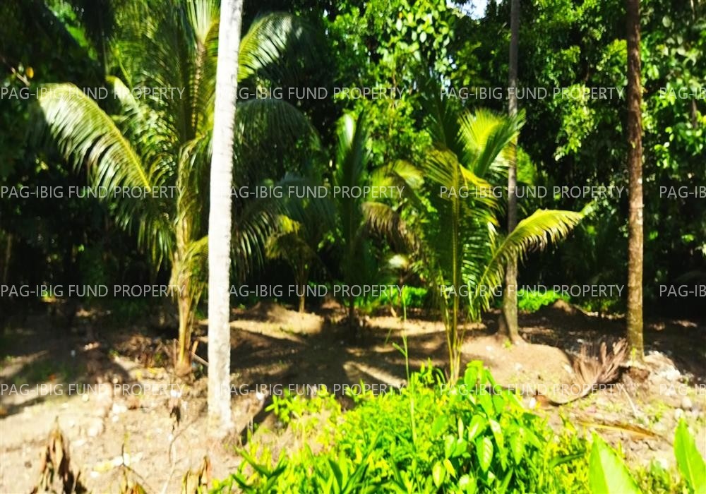 Image for Lot 168A1D6D2 Chio Subdivision Dalumangcob, Sultan Kudarat, Maguindanao,