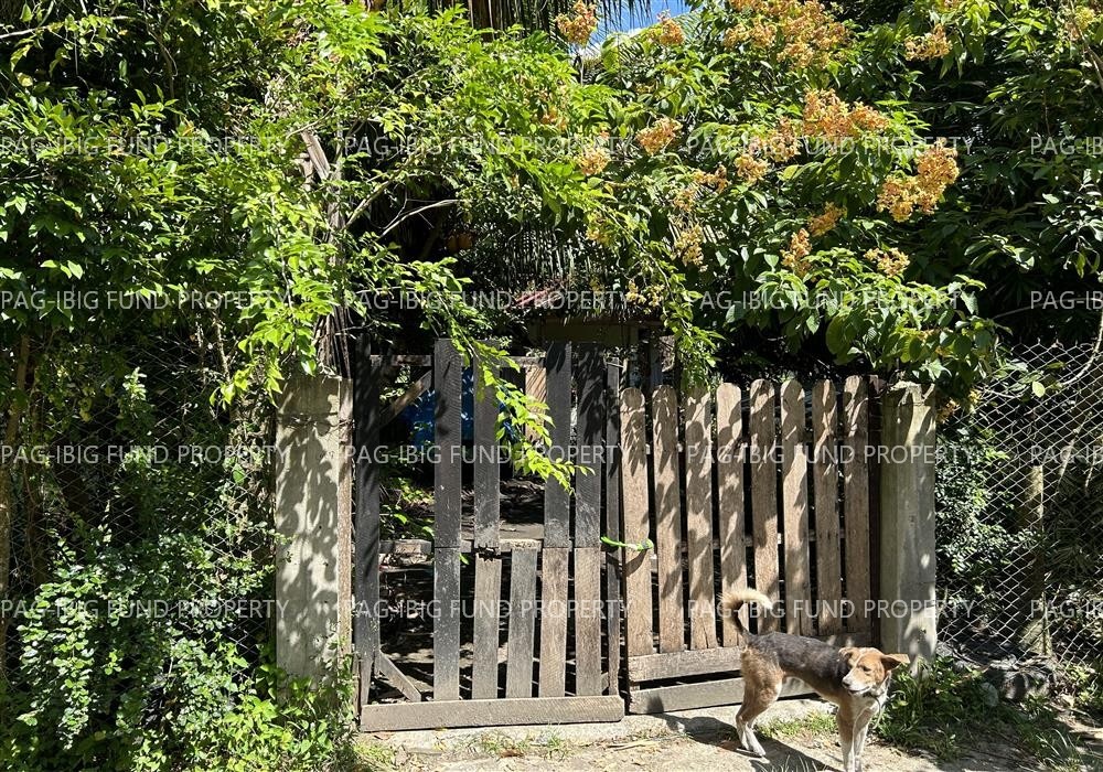 Image for Lot 7 Basiao Subdivision Maranding, Lala, Lanao Del Norte, 9211