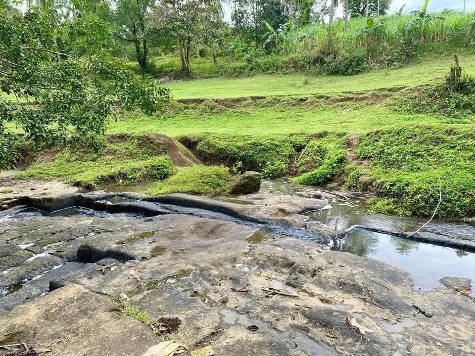 Farm Estate with 2-Storey 4BR Farmhouse in Barangay Bendita Uno, Magallanes, Cavite photo #2