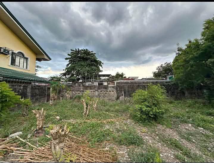 Image for Corner Residential Lot for Sale in Vista Real, Katipunan Extension, Quezon City